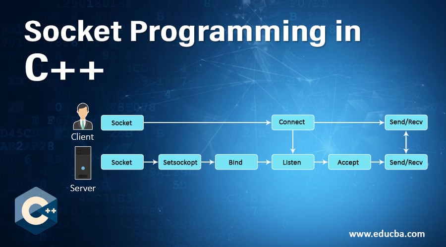 SimpleNetwork：简单的TCP服务器客户端C ++ Linux套接字