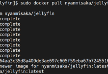 CentOS8 使用 Docker 搭建 Jellyfin 家庭影音服务器-网硕互联帮助中心