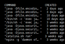 【实战案例】从“未上锁的门“到服务器沦陷:Docker Remote API未授权访问漏洞深度解析-网硕互联帮助中心