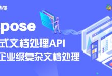 Aspose:构建高效文档处理系统的专业组件选择-网硕互联帮助中心