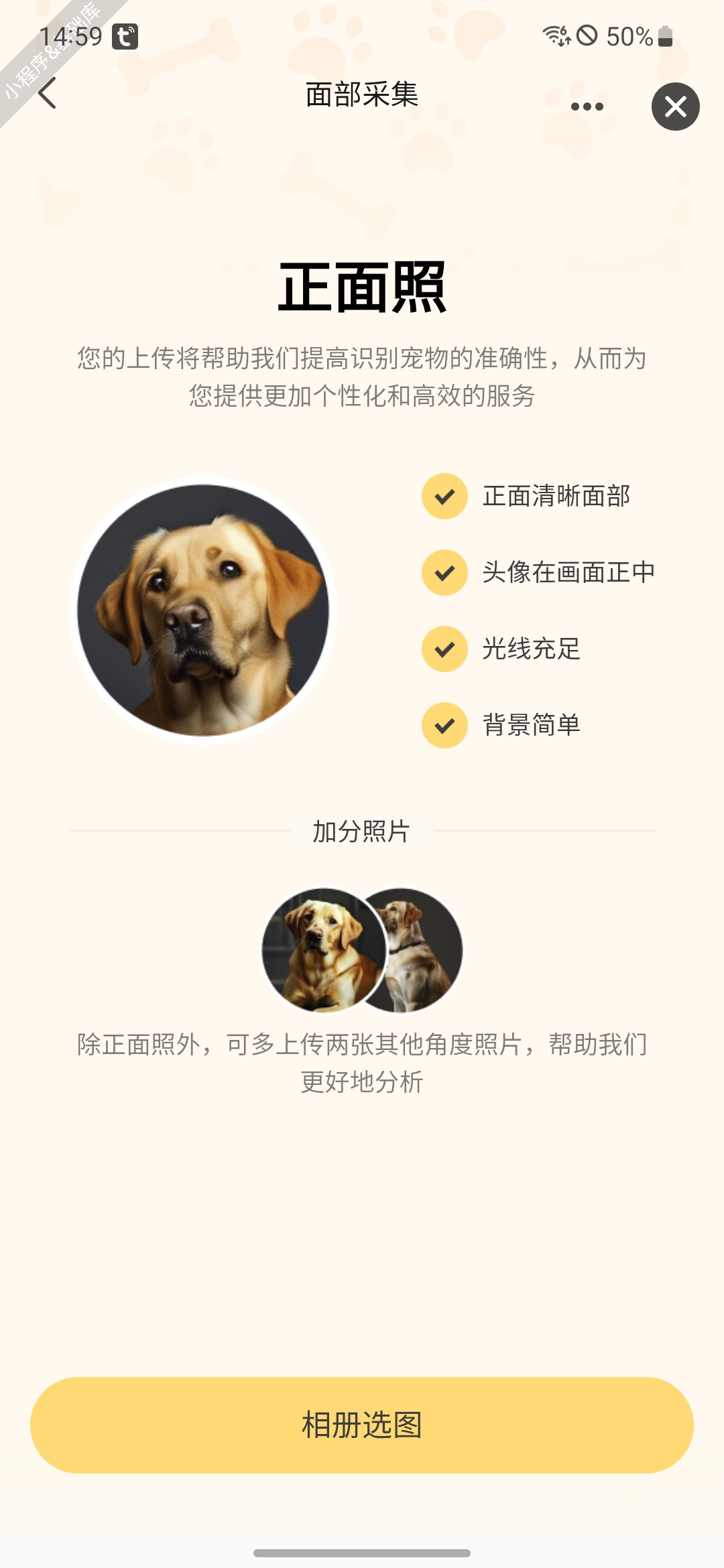 原始视频