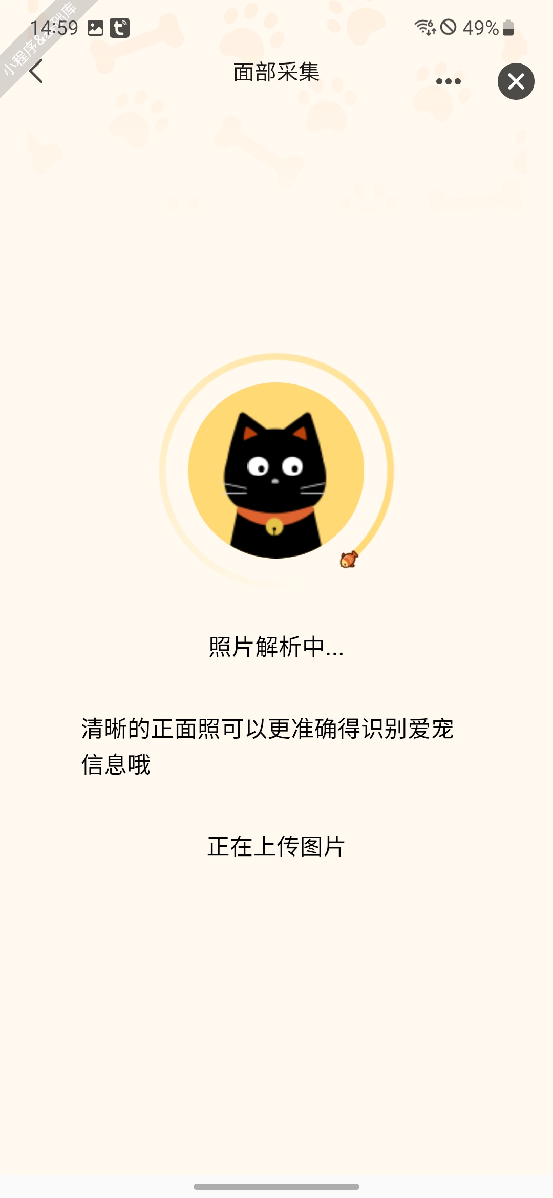 宠物图像质量检测