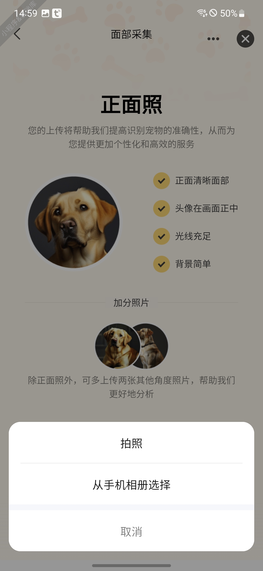 宠物图像质量检测