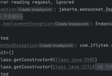 jakarta.websocket.DeploymentException:Endpoint instance creation failed-网硕互联帮助中心