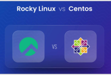 独立服务器选择Rocky Linux还是CentOS-网硕互联帮助中心