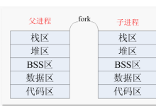 【系统编程】父子进程的关系-网硕互联帮助中心
