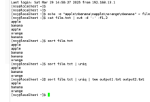 Linux 管道命令及相关命令练习与 Shell 编程、Tomcat 安装-网硕互联帮助中心