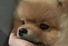 AI时代，什么副业最吃香？深度揭秘！别让35岁成为你的职场天花板，这篇副业指南请收好！-网硕互联帮助中心