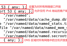 Linux DNS服务解析原理与搭建-网硕互联帮助中心