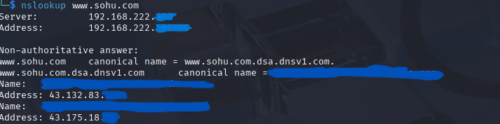 测试DNS解析