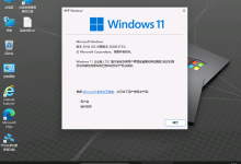 [2025.8.8] Win11.25H2 LTSC优化版26200.5733【纯净可更新】Windows 11 26H2最新系统下载 PIIS优化-网硕互联帮助中心