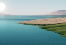 初步Java学习:图像处理1.0-网硕互联帮助中心