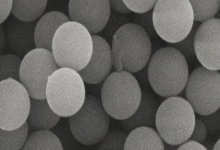 COOH@Fe3O4，统基化四氧化三铁纳米颗粒修饰类型及特性-网硕互联帮助中心