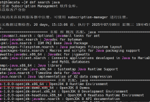 企业级web应用服务器TOMCAT入门详解-网硕互联帮助中心