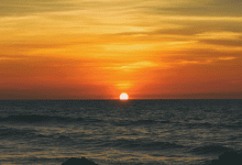 【Python】模块与包-网硕互联帮助中心