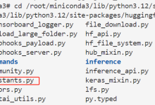 在服务器中下载huggingface模型,解决huggingface无法连接-网硕互联帮助中心