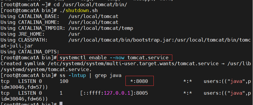 image-20250730112313241