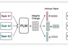 一文吃透!7种大模型微调方法全解析-网硕互联帮助中心