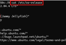 开源即用,3 行代码合成自然语音——OuteTTS 本地部署教程,一键接入全场景语音能力-网硕互联帮助中心