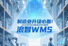 制造业升级必备!2025年MES集成WMS推荐:浪智WMS-网硕互联帮助中心
