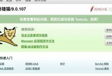 企业级WEB应用服务器TOMCAT-网硕互联帮助中心