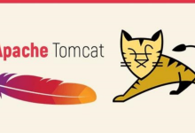 企业级WEB应用服务器TOMCAT---相关部署-网硕互联帮助中心