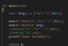 exec函数族、线程-网硕互联帮助中心