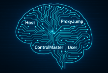 Linux: 告别繁琐!解锁 SSH `config` 文件的神仙用法-网硕互联帮助中心
