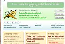 WEB应用服务器TOMCAT-网硕互联帮助中心