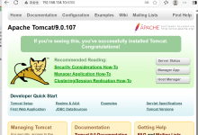 企业级WEB应用服务器TOMCAT-网硕互联帮助中心
