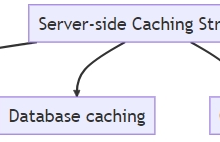 C++后端编程 构建高性能后端的数据库、API 与 Web 服务器 7 处理客户端与服务器端缓存-网硕互联帮助中心