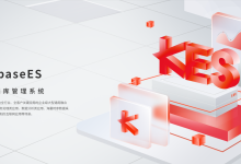 KingbaseES高可用架构深度解析——从读写分离到异地灾备的全方位守护-网硕互联帮助中心