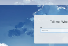 [BJDCTF2020]Cookie is so stable-网硕互联帮助中心