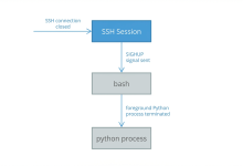 【nohup】在容器中运行长时间 Python 任务：SSH 断开也不怕-网硕互联帮助中心