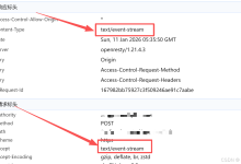 【SSE实战】:拒绝轮询!一套代码吃透 SSE!(用「fetchEventSource」一把梭搞定 SSE 实时推流)-网硕互联帮助中心