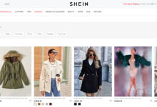 独立站类型解析：哪个适合你的出海业务？-网硕互联帮助中心