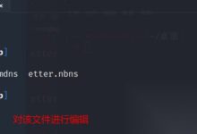 【网络攻击】DNS劫持操作指南，黑客零基础入门到精通，收藏这篇就够了-网硕互联帮助中心