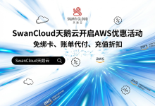 面向全球用户的网站,AWS是唯一选择吗?-网硕互联帮助中心