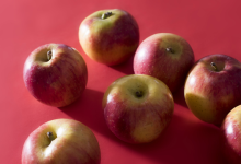 近红外应用 | 通过光谱分析，360°测试鉴定苹果-网硕互联帮助中心