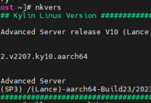 鲲鹏服务器在麒麟V10SP3系统上安装KVM-网硕互联帮助中心