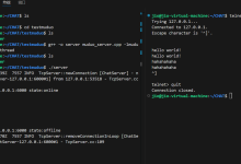 C++集群聊天服务器（1）—— muduo网络库服务器编程-网硕互联帮助中心