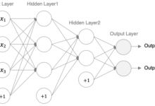 【PyTorch入门】手把手带你搭建第一个神经网络（参数计算详解+代码实战）-网硕互联帮助中心