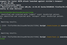 Toxssin 在 XSS 后利用渗透测试中的完整实战日志-网硕互联帮助中心