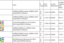 ChIP/CUT结果解读之Motif分析，充分利用组学数据-网硕互联帮助中心