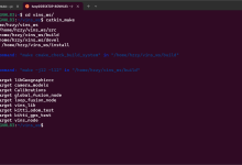 WSL2+Ubuntu20.04+ROS1(noetic)下配置vins-fusion环境-网硕互联帮助中心