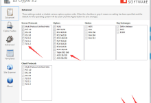 SSL证书禁用不安全协议关闭TLS1.1及以下协议? IIS 服务器怎么开 TLS v1.2?用 IISCrypto 一键搞定(附工具下载)-网硕互联帮助中心