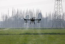 AI企业TOP榜：新手必看的5大推荐-网硕互联帮助中心