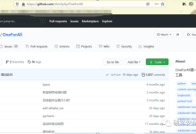 新手小白入门SRC漏洞挖掘经验分享，网络安全零基础挖漏洞干货分享！-网硕互联帮助中心