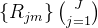 \\left \\{ R_{jm} \\right \\}\\binom{J}{j=1}