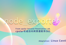 躺在家里办公多惬意！node_exporter+cpolar 轻松实现服务器远程监控-网硕互联帮助中心
